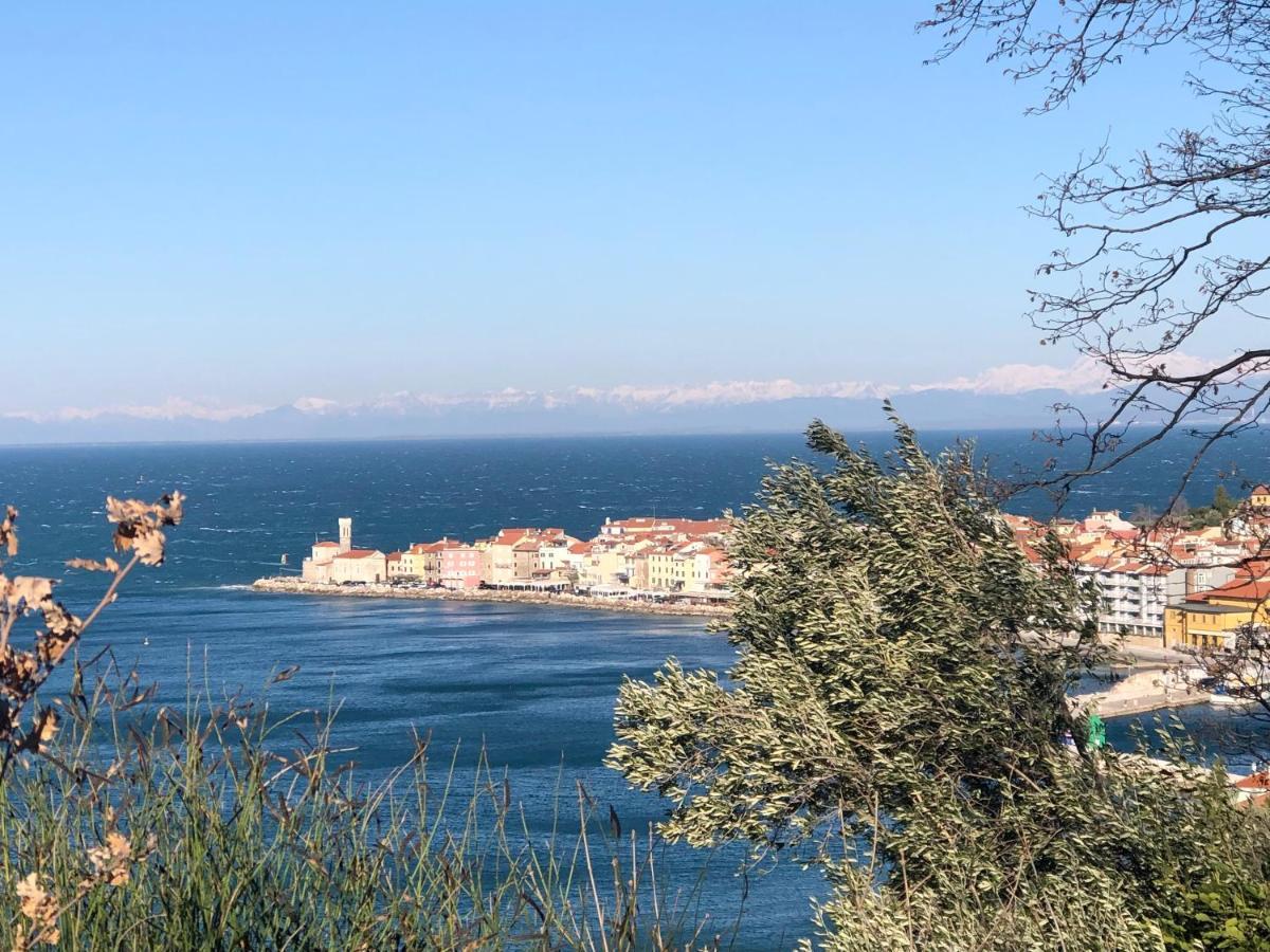 Apartment Modrin Πιράν Εξωτερικό φωτογραφία